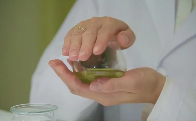 オリーブオイルのテイスティング