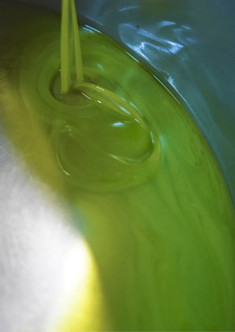 搾りたてオリーブオイル